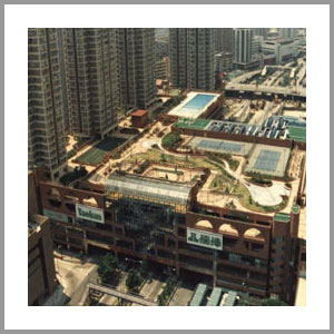 Hong Kong Green Rooftop