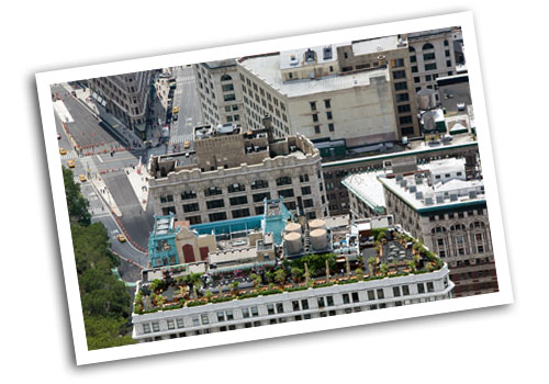 green rooftop nyc